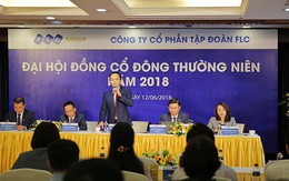 Ông Trịnh Văn Quyết: Chắc chắn Bamboo Airways sẽ cất cánh trong năm 2018