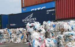 8.000 container hàng phế liệu làm ùn tắc cảng Cát Lái