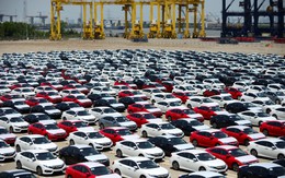 VAMA: Hoàn toàn không thể nhập khẩu ô tô từ Nhật Bản!