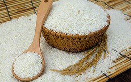 Giá thóc, gạo tăng liên tiếp nhưng không xảy ra "sốt giá", đầu cơ