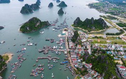 Quảng Ninh: Người dân và doanh nghiệp nói gì về dự Luật Đặc khu?