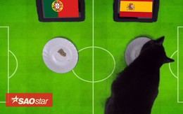 ‘Tiên tri’ mèo đen dự đoán Bồ Đào Nha sẽ gục ngã trước Tây Ban Nha