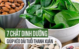 Người trên 40 tuổi nếu thiếu 7 chất dinh dưỡng này, sức khỏe và nhan sắc sẽ sớm "tụt dốc"