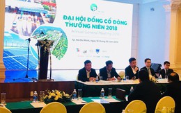 ĐHĐCĐ Bamboo Capital (BCG): Đẩy mạnh hợp tác đầu tư BĐS và năng lượng tái tạo