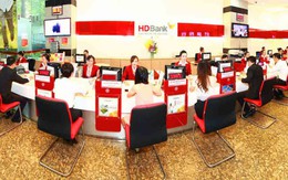 Thương mại Dầu khí - Petechim muốn làm cổ đông HDBank nhưng bất thành vì vướng quy định về sở hữu chéo