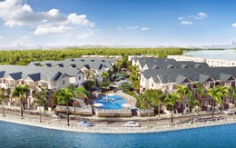 Giải mã sức hút của những nhà phố cuối cùng tại Valencia Riverside