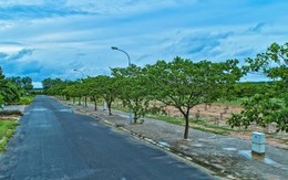 Phúc Khang trao sổ đỏ cho khách hàng Dự án Phước An - Nhơn Trạch – Đồng Nai