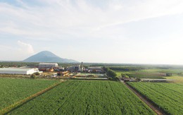 Giãn ATIGA - cú hích thay đổi cục diện ngành mía đường?