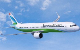 Phó Thủ tướng chỉ đạo về dự án Bamboo Airways