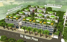 Hé lộ bất ngờ về biệt thự đẳng cấp giữa lòng Hà Nội