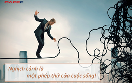 Gửi những người suốt ngày than thở cuộc sống này quá khó khăn: Nghịch cảnh không phải bất hạnh, khi bị ném vào giữa bầy sói, đó là cơ hội để bạn trở thành con đầu đàn