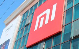 "Mua cổ phiếu Xiaomi khi IPO không khác gì đánh bạc"