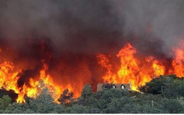 Hàng nghìn người phải sơ tán do cháy rừng ở California, Mỹ