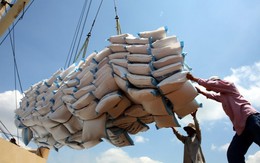 Xuất khẩu nông sản tăng mạnh, giá lúa gạo Việt Nam vượt Thái Lan, Ấn Độ