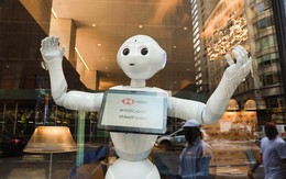 Gặp gỡ Pepper - nhân viên Robot đầu tiên tại một ngân hàng của Mỹ