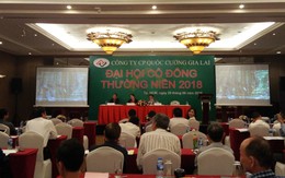 ĐHĐCĐ QCG: Tiếp tục theo đuổi dự án Phước Kiển nhưng không chắc chắn kết quả