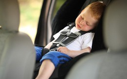 Đậu ô tô ngoài trời nắng: Nguy cơ sốc nhiệt đến tử vong cho trẻ nhỏ