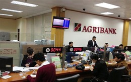 Nhân viên Agribank thu nhập bình quân 23,4 triệu, sếp quản lý gần 74 triệu đồng/tháng