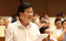 Phó Thủ tướng Trịnh Đình Dũng yêu cầu kiểm tra lại những dự án đầu tư ven biển