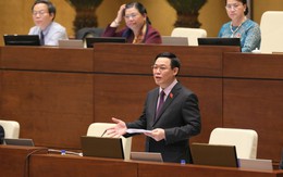 Phó Thủ tướng Vương Đình Huệ: Đặc khu có tính chất và nhiệm vụ đặc biệt nên cán bộ cũng phải đặc biệt