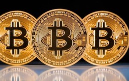 Đề xuất dừng nhập máy đào Bitcoin, dân đào coin "méo mặt"