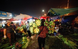 Chùm ảnh: Hoa sen "thống lĩnh" tại chợ đêm Quảng Bá
