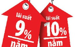 “Khả năng trả lãi vay của doanh nghiệp mức 6-9% là phù hợp”