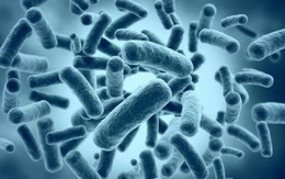 Thực phẩm bẩn, môi trường ô nhiễm – giải pháp nào cho sức khỏe người Việt?