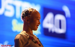 Những hình ảnh ấn tượng của Sophia - Robot có quyền con người đầu tiên tại Việt Nam trong tà áo dài
