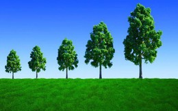 Khối ngoại giảm bán, sắc xanh phủ kín thị trường trong phiên giao dịch “Thứ 6 ngày 13”