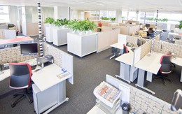 Sai lầm khi cho rằng văn phòng thiết kế dạng không gian mở giúp nhân viên thân thiết hơn: Thực tế họ cố "cắm mặt" vào máy tính hoặc đeo tai nghe để tránh bị xao lãng