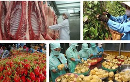 Nhiều “nút thắt” xuất khẩu nông sản Việt đang dần được tháo gỡ