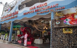 Thế giới hải sản – khơi lộc hè nhẹ hầu bao