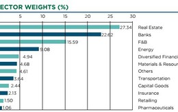 Khẩu vị mới của Dragon Capital với cổ phiếu bất động sản