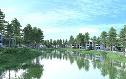 Biệt phủ giữa rừng Long Hải: Vị thế thượng lưu