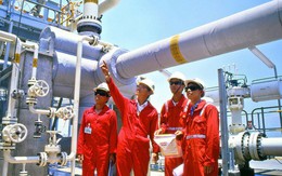 PV Gas: LNST nửa đầu năm ước tăng 30% lên 5.323 tỷ đồng