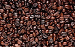 Giá cà phê trong nước vẫn đứng ở mức thấp 26 tháng