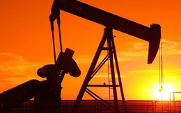 Giá dầu giảm do Nhà Trắng cho biết Saudi sẽ tăng sản lượng khi cần thiết