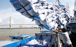 Giá gạo Việt Nam vượt trội Thái Lan, Ấn Độ nhờ ưu thế chất lượng