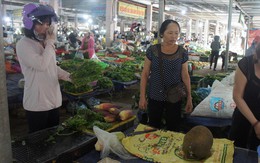 Nghệ An, Hà Tĩnh: Rau xanh khan hiếm, tăng giá gấp đôi sau bão