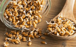 Ngũ cốc nảy mầm: Loại hạt "thần kỳ" với mức giá rẻ, biết chế biến sẽ có tác dụng cải thiện tiêu hóa, ngăn bệnh tim mạch và chống lão hóa