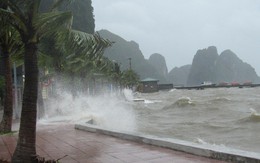 Áp thấp nhiệt đới tiến gần bờ biển Nam Định - Thanh Hóa