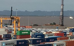 Ôtô miễn thuế 'đổ bộ' về Việt Nam, tập kết kín cảng chờ lăn bánh