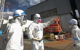 Phát hiện ra đồng vị phóng xạ từ Fukushima trong rượu vang ở tận bên Mỹ?
