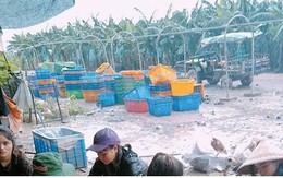 Ảnh: Người Việt thẫn thờ dọn dẹp đổ nát sau vụ vỡ đập thủy điện ở Lào