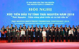 TTB Group được giao dự án 50.000m2 tại tỉnh Thái Nguyên