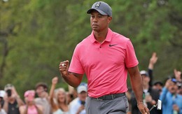 5 cú đánh hay nhất tuần qua: Vinh danh cú chip-in đẳng cấp của Tiger Woods