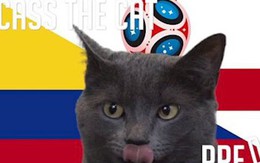 Dự đoán kết quả tỉ số trận Colombia vs Anh hôm nay của "nhà tiên tri" mèo Cass