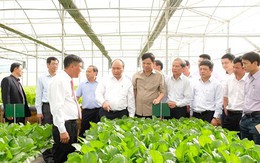 Sáng nay, Thủ tướng dự hội nghị thúc đẩy doanh nghiệp đầu tư vào nông nghiệp