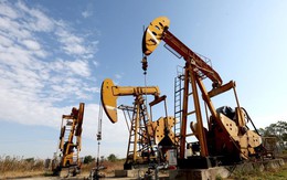 Nguy cơ thiếu hụt nguồn cung, dầu thô tăng giá
